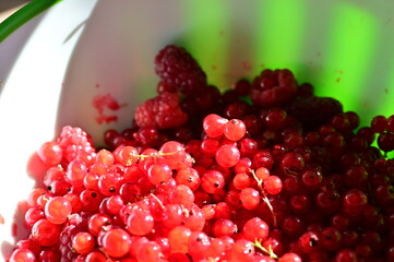 Red currant berries in a white bowl, close-up.