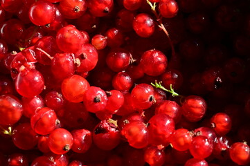 Red currant berries in a bowl. Selective focus. nature.