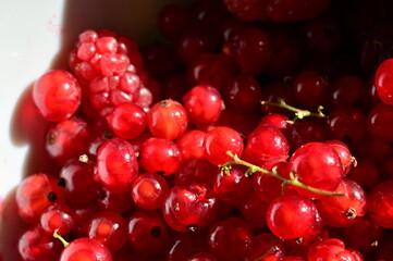 Red currant berries in a bowl. Selective focus. nature.