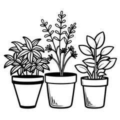 Kitchen Herbs in Pots – Clean Line Art Vector Illustration – Minimalist Potted Plant Set for Culinary Decor, Botanical Designs, Garden Labels, and Organic Food-Themed Projects