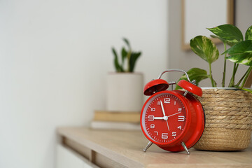 Alarm clock and houseplant on chest of drawers, closeup