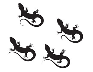 Closeup house lizard silhouette isolated on white background. Vector illustration, Silhouettes of a Gecko, simple stylized silhouettes of geckos in a neutral brown and black tone against.