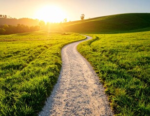 Winding Gravel Path Through Green Field