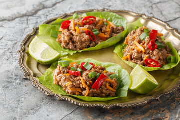 Ground Beef Lettuce Wraps with vegetables close-up on the plate on table. Horizontal