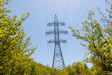 A tall power line tower is surrounded by trees
