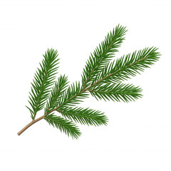 Naklejka premium Photorealistic 3d fir branch icon, rendering winter holiday design element with crisp detail, transparent isolated background