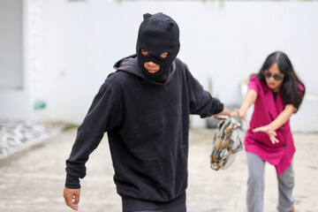 Purse Snatching Incident Involving Female Victim and Hooded Attacker.
