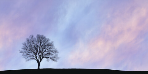 Leafless tree silhouette stands alone on a hill against a vibrant sunset sky, showcasing a blend of soft pastel colors and creating a serene atmosphere of solitude and reflection