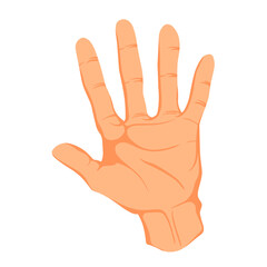 Fototapeta premium Illustration of human hand movements