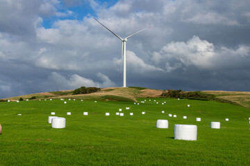 Wind turbines and hay rolls

