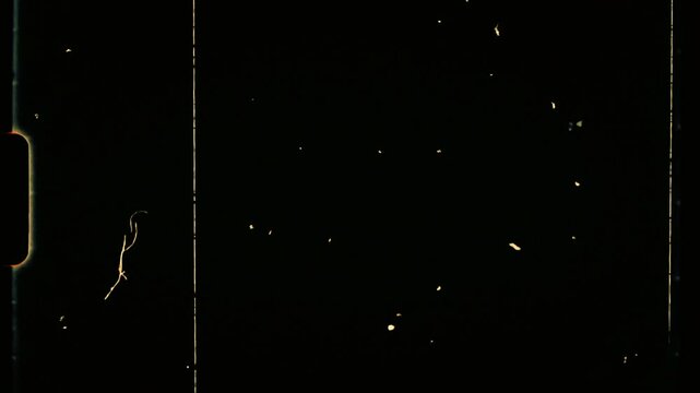 Super 8 mm movie film light leaks grain transition 4k video