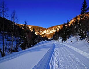 Snowy Mountain Valley Path Winter Landscape