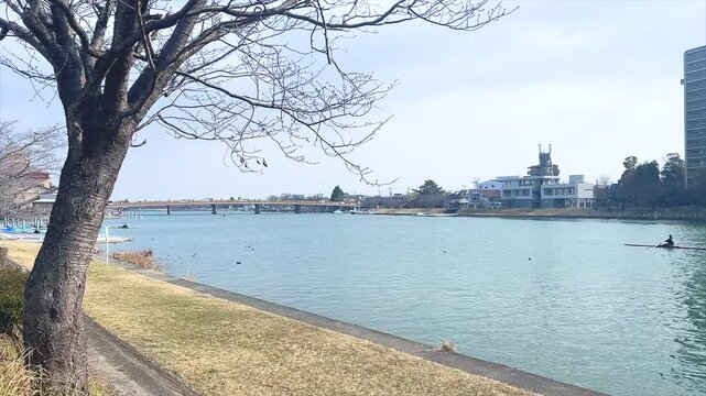 大きな川がせせらぐ