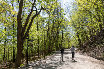 Fototapeta premium A man and woman jog along a tree-lined path in Mount Royal Park, Montreal, Canada. They are exercising to stay healthy and enjoy the outdoors in the springtime.