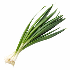 green onion isolated on white