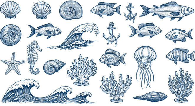 Marine life and nautical elements vector illustration in engraved style for design and decor