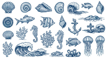 Nautical and marine life vector illustration with fish, shells, and ocean waves in engraved style for ocean-themed designs