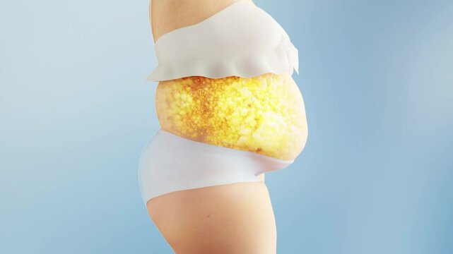 Woman loses weight by burning fat, less belly fat, before and after weight loss, obese person becomes slimmer, fitness and body shaping, body management solutions, 3D animation.