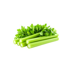 A bunch of fresh, healthy green asparagus, a natural vegetable ingredient isolated on white