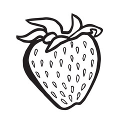 Strawberry hand drawn isolated vector illustration for food product desing. Fresh garden berries black and white sketch, organic healthy food. Summer fruit in line art style for cosmetic and textile.