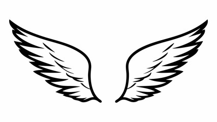 Obraz premium Illustration of symmetrical wings with detailed feathers in a black and white drawing style graphic