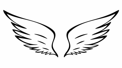 Illustration of two symmetrical wings with detailed feather outlines in black and white design