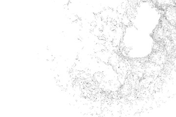 A grayscale abstract image resembling a celestial body or microscopic organism, featuring a mottled surface, irregular shapes and textures suggest a complex, possibly organic structure