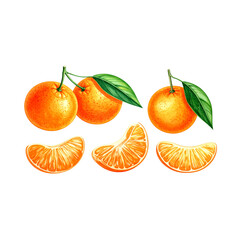 Fresh tangerines with green leaves, isolated on white, form a vibrant set of healthy, ripe citrus fruit