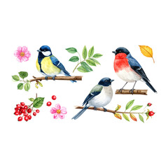 Colorful cartoon birds illustrate a couple on a spring tree branch, showcasing nature's love and vibrant wildlife