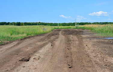 A muddy dirt road leading through a field on a sunny day