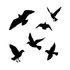 Silhouette of Birds in Flight, Perfect for Design Projects