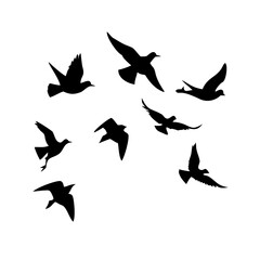 Silhouettes of birds in flight, a graphic design element.