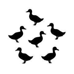 Silhouette of six ducks arranged in a circle.
