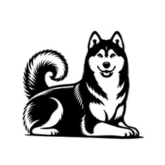 Majestic Husky Dog Vector Illustration – Arctic Sled Dog Art