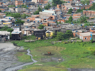 favelas in santos one of the biggest harbour in brasil