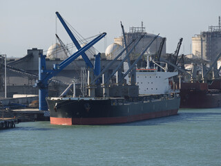 BULK CARRIER IN ALTAMIRA HARBOUR MEXICO