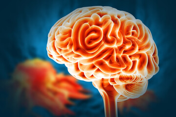 Human brain anatomy. 3d illustration