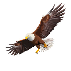 Obraz premium Flying Bald Eagle Vector Illustration – Patriotic American Bird Clipart, Soaring Wildlife Symbol Art, Freedom Wings Decor, Majestic Raptor Drawing