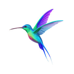 Colorful Hummingbird Illustration &ndash; Exotic Tropical Bird Artwork, Vibrant Flying Wildlife Design, Nature-Inspired Clipart, Nectar Feeder Animal Graphic