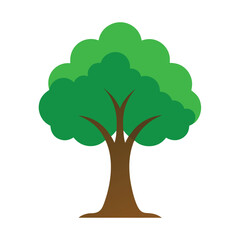 A dynamic vector icon of a tree viewed from a slight angle, providing a sense of depth and natural perspective on a plain white surface.