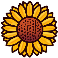 Flowers and freshness 