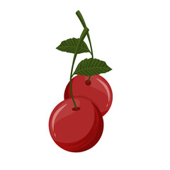 Vector illustration of cherry fruit,cherries with leaves,sweet dessert