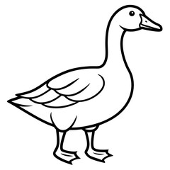 Simple Goose Contour
