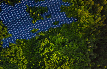 Solar panels park installed in green forest.Alternative energy is future.Solar panels generating...