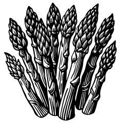 wheat ears isolated on white