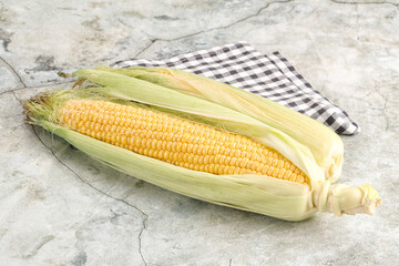 Ripe sweet yellow corn cob