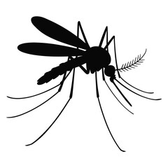 silhouette of a detailed mosquito isolated on white background, perfect for vector disease concepts, entomology studies, and pest control