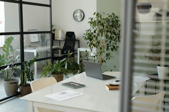 Modern office space with greenery and no people