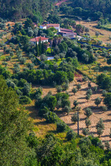 Obraz premium An aerial view of a rural landscape featuring scattered houses, lush greenery, and cultivated fields
