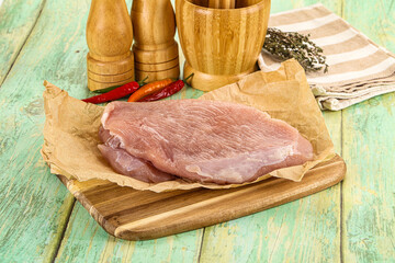 Raw turkey breast fillet piece